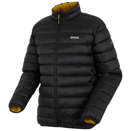 Veste homme Regatta Marizion