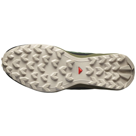 Chaussures homme Salomon Speedcross Peak