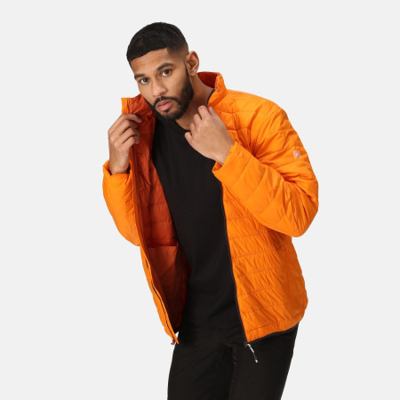 Veste homme Regatta Hillpack