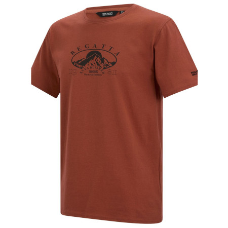 T-shirt homme Regatta Cline IX