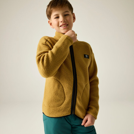 Sweatshirt enfant Dare 2b Zesty II Fleece Wood Brown