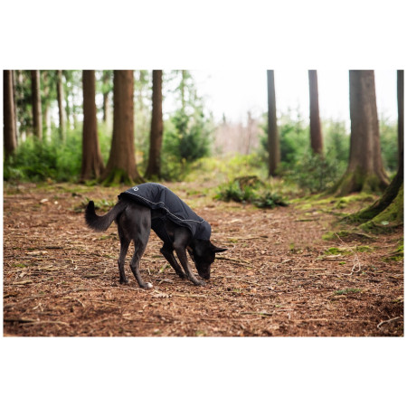 Imperméable pour chien Mountain Paws Fleece-Lined Dog Raincoat