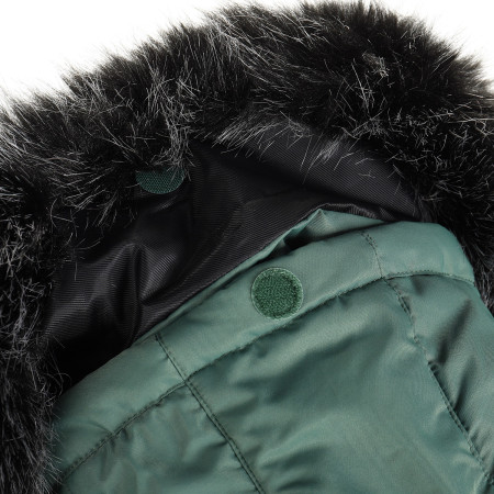 Veste femme Alpine Pro Werda