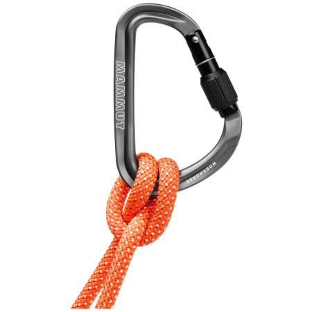 Mousqueton Mammut Workhorse HMS Screwgate Carabiner