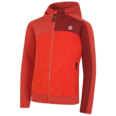 Sweatshirt enfant Dare 2b Thriving II Core St