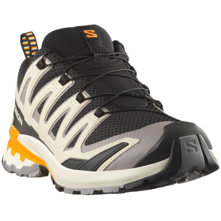 Chaussures homme Salomon Xa Pro 3D V9
