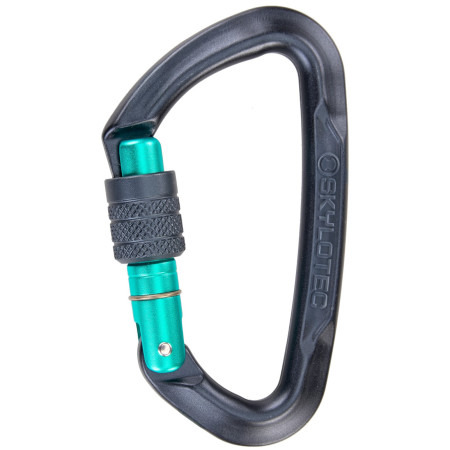 Mousqueton Skylotec Lime SG (screw gate) gris / vert Anthracite/Acquamarine