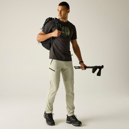 Pantalon homme Regatta Xert Stretch Z/O Trousers