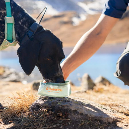Bol pliable Hydrapak Rover Dog Bowl