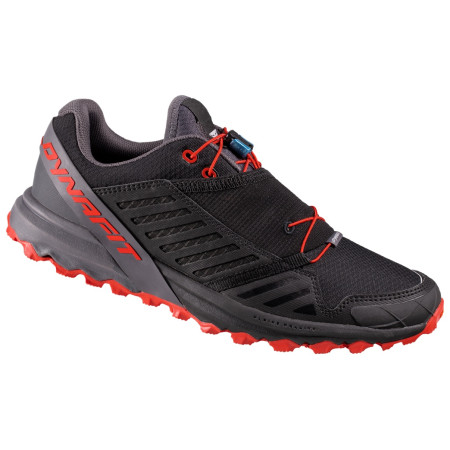 Chaussures homme Dynafit Alpine Pro vert Black/Magnet
