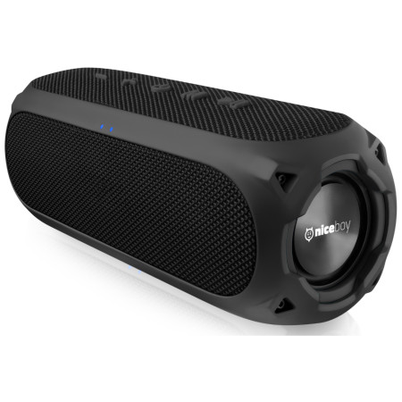 Enceinte Niceboy RAZE 3 Radion vert