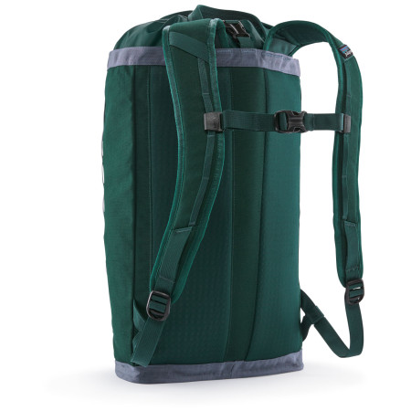 Sac à dos Patagonia Fieldsmith Linked Pack 24L