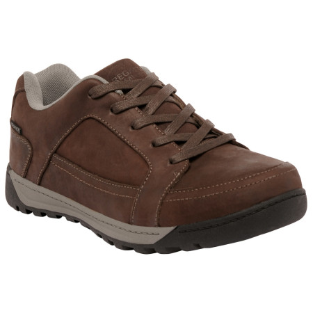 Chaussures homme Regatta Stanly Low Nubuk brun