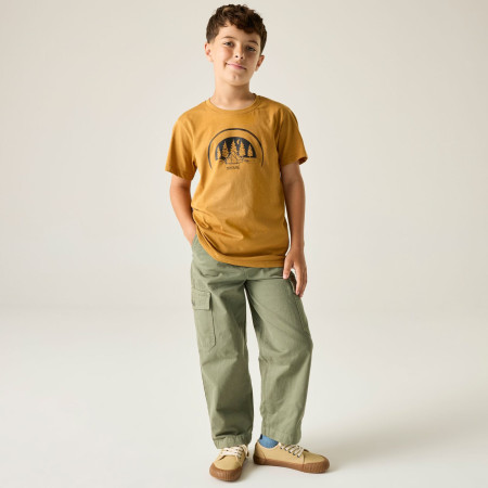 T-shirt enfant Regatta Bosley Wood Brown