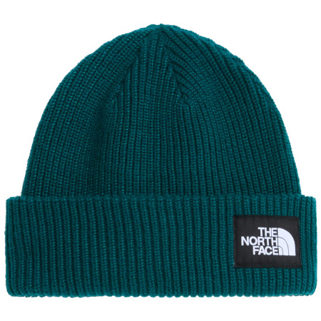 Bonnet The North Face Salty Lined Beanie