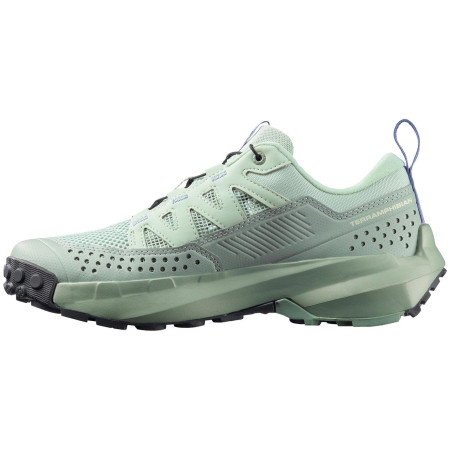 Chaussures femme Salomon Terramphibian W