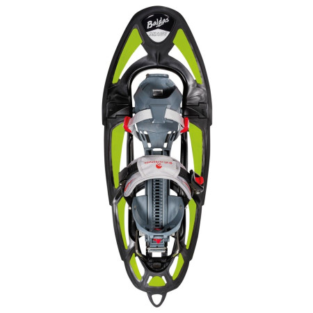 Raquettes à neige Ferrino Baldas Miage 2020 green Green