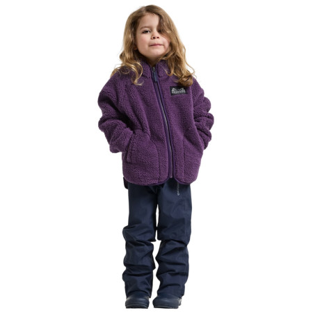 Sweatshirt enfant Didriksons Gibbs Kids Fullzip 2 Northen Purple