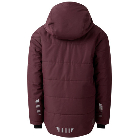 Veste d'hiver enfants Dare 2b Explorer Jacket