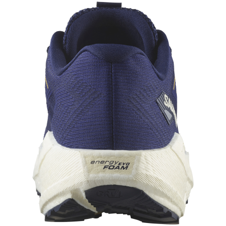 Chaussures de running hommes Salomon Aero Blaze 3 Grvl