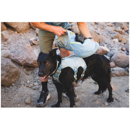 Harnais pour chien Ruffwear Palisades™ Pack