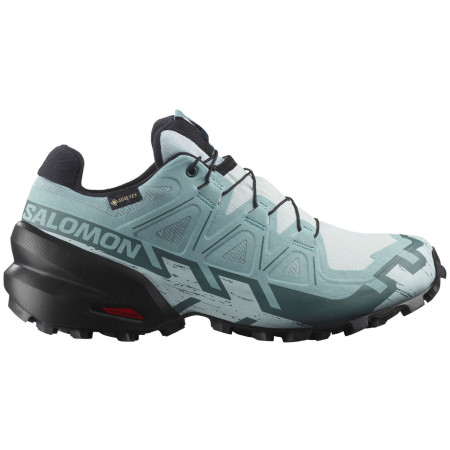Chaussures femme Salomon Speedcross 6 Gore-Tex