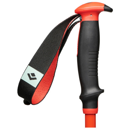 Bâtons de ski alpin Black Diamond Traverse Ski Poles