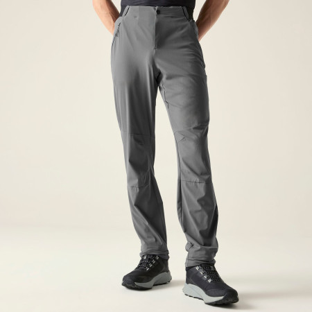 Pantalon homme Dare 2b Torrek Lite Trouser