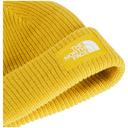 Bonnet The North Face Salty Lined Beanie