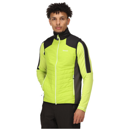 Gilet homme Regatta Halton BW VI