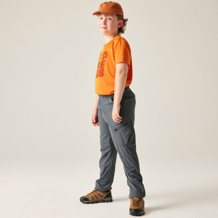 Pantalon enfant Dare 2b Rapid trouser Magnet