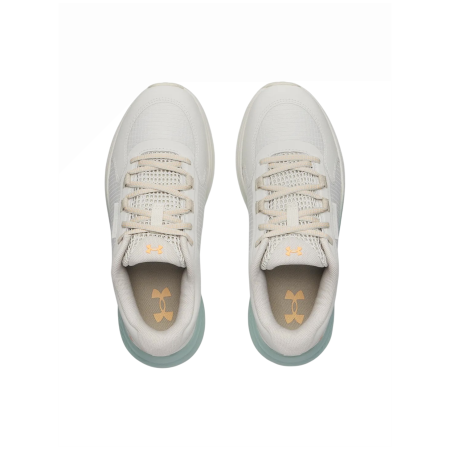 Chaussures running femme Under Armour W Charged Bandit Tr 3