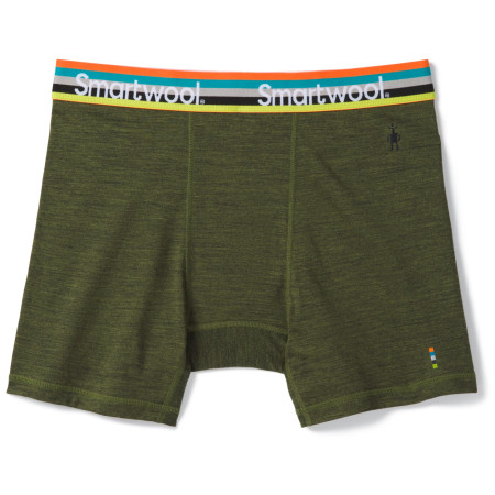 Caleçons fonctionnels homme Smartwool M Merino Sport 150 Boxer Brief Boxed green MossGreenHeather