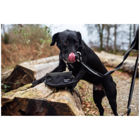 Gamelle pour chien Mountain Paws Collapsible Dog Food Bowl