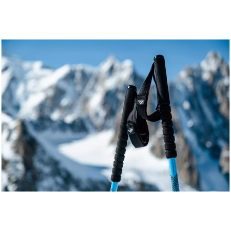 Bâtons de ski alpin Black Crows Trios Freebird
