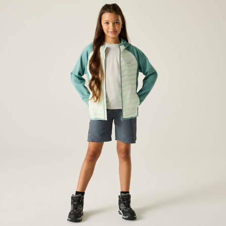 Veste enfant Regatta Junior Andreson Hybrid IvyMossOMist