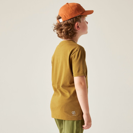 T-shirt enfant Dare 2b Trailbazer III Tee Dark Cumin