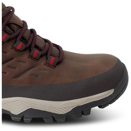 Chaussures femme Regatta Womens Blake Low