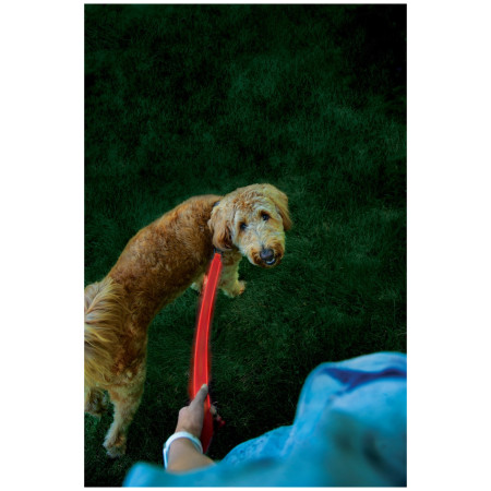 Laisse pour chien Nite Ize LED NiteDog