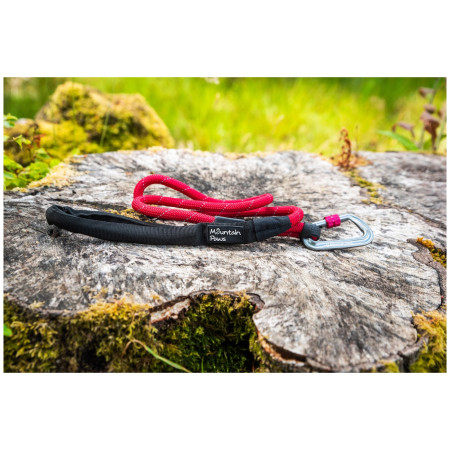 Laisse pour chien Mountain Paws Rope Dog Lead
