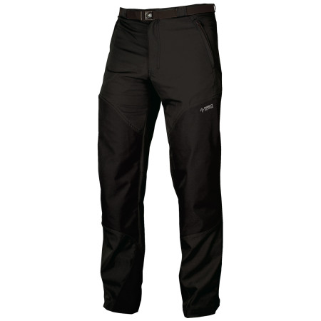 Pantalon homme Direct Alpine Patrol 4.0 (2016) vert