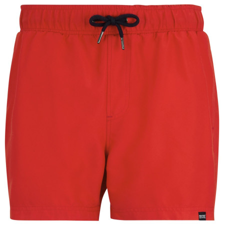 Maillot de bain homme Regatta Mawson Swim Shorts III