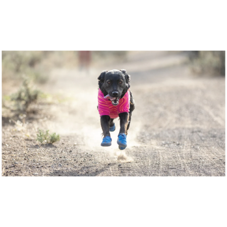 Chaussures pour chien Ruffwear Hi & Light™ Trail Shoes
