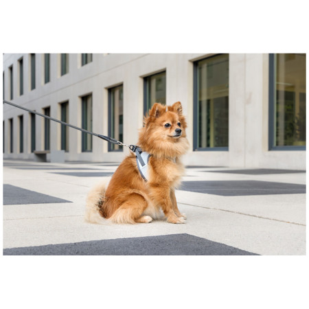Harnais pour chien Curli Glow Reflective
