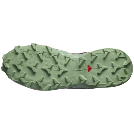 Chaussures running femme Salomon Speedcross 6