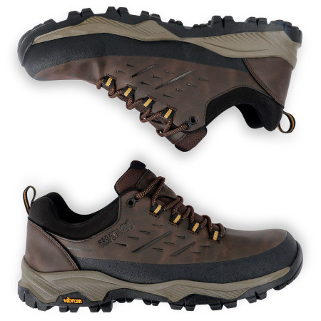 Chaussures homme Regatta Blake Low