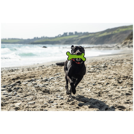 Jouet pour chien Mountain Paws Rubber Bone Dog Toy