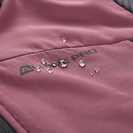 Veste polaire fonctionnelle femme Alpine Pro Zolla