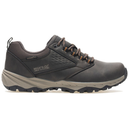 Chaussures homme Regatta Amble Low WP brun Peat/Tan