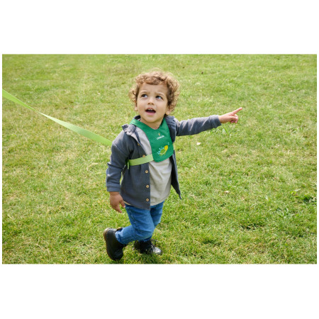 Laisse enfant LittleLife Toddler Reins Turtle